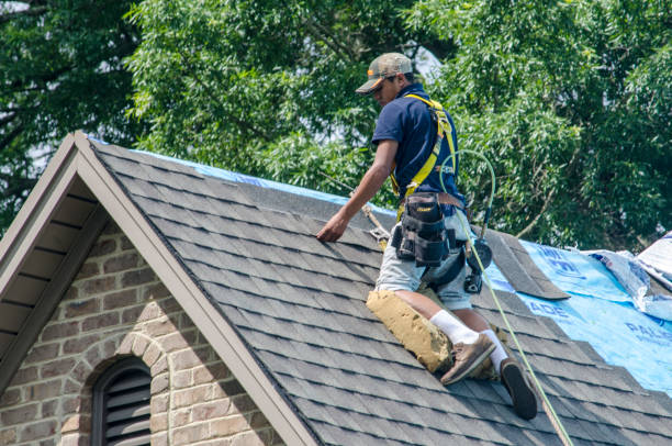 Best Roof Gutter Cleaning  in Kentfield, CA
